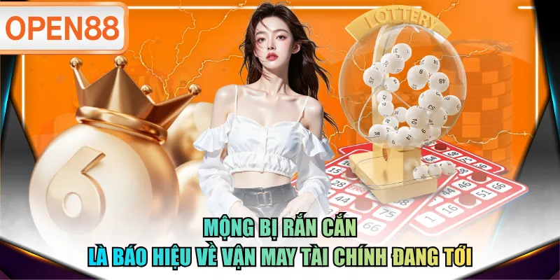 Mộng bị rắn cắn là báo hiệu về vận may tài chính đang tới Mộng bị rắn cắn là báo hiệu về vận may tài chính đang tới